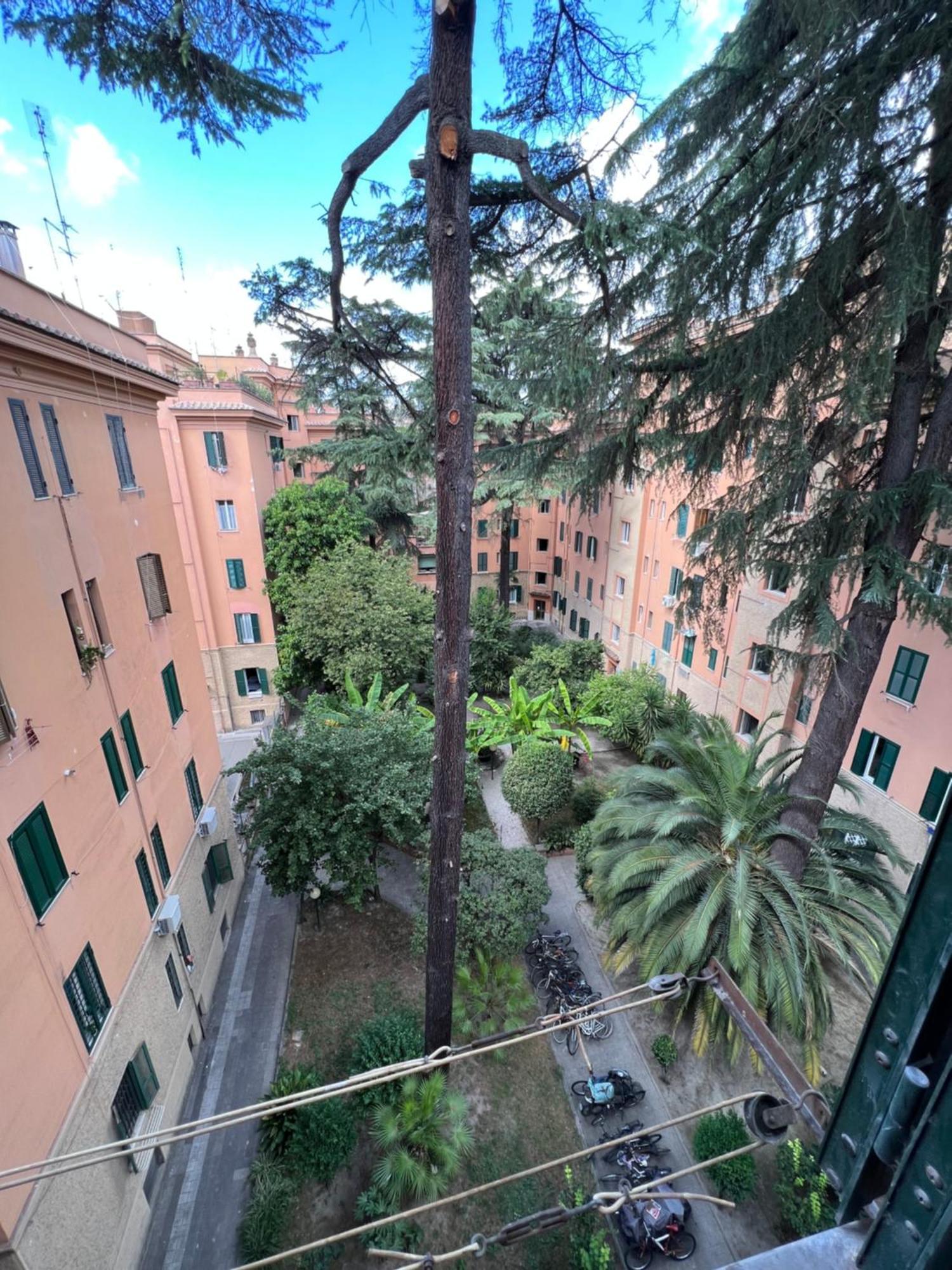Enjoy Vatican Holiday In Rome Bagian luar foto
